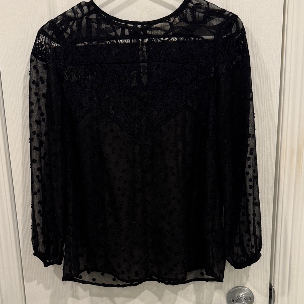 HD in Paris Black Sheer Lace Blouse